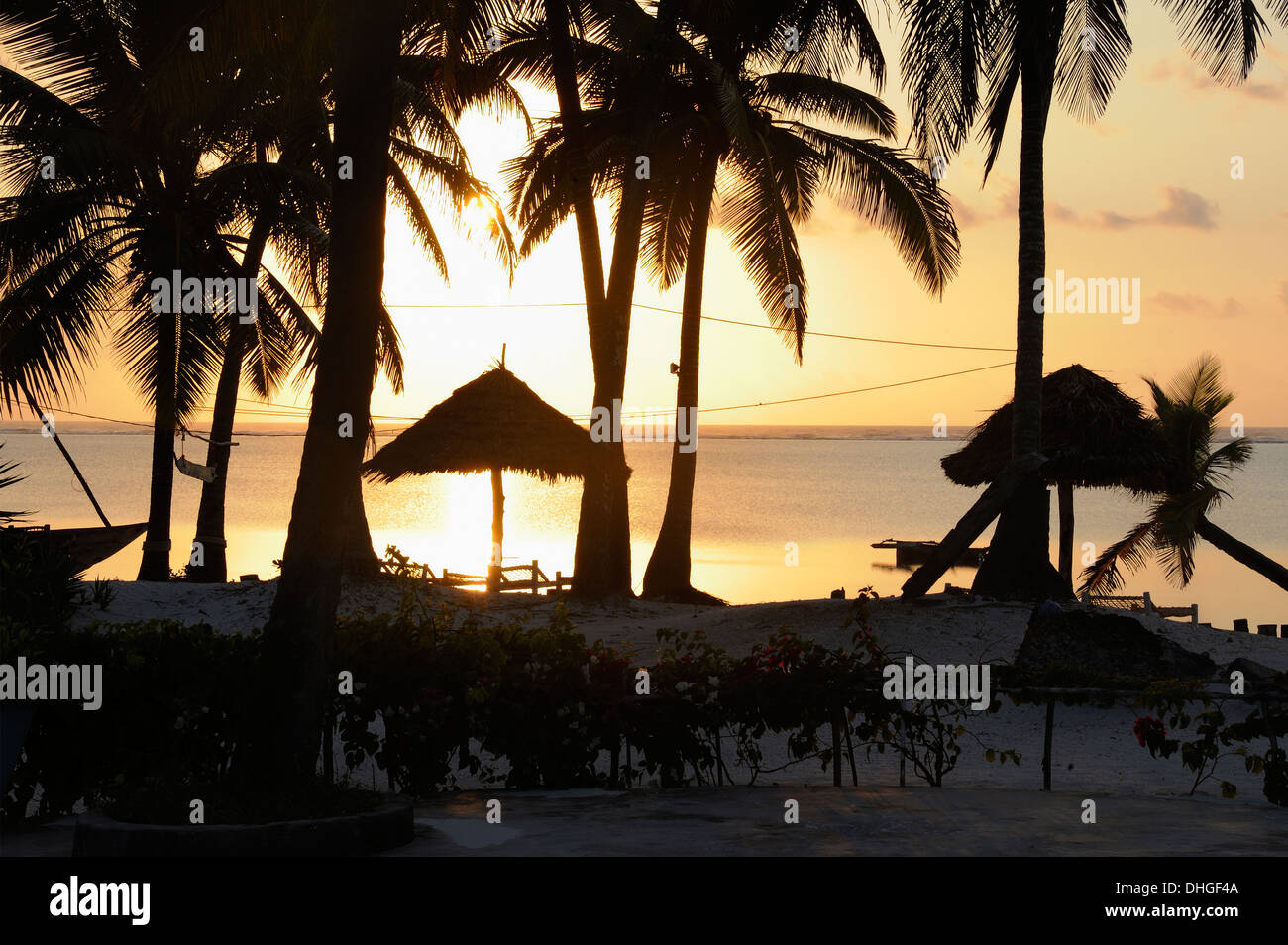 Palm tree silhouette at sunset, Bwejuu Beach, Indian Ocean, Zanzibar, Tanzania, East Africa Stock Photo