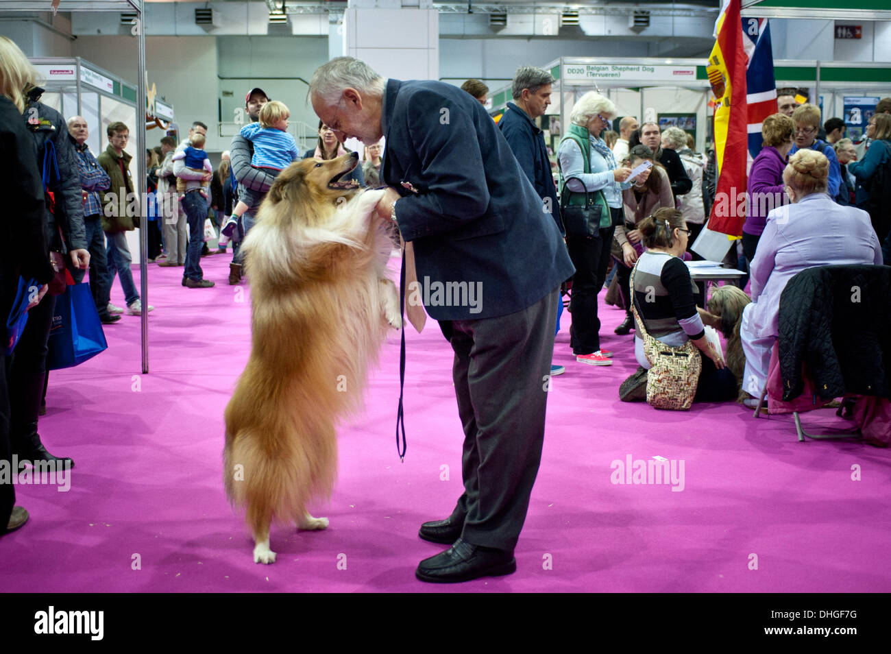 London, UK. 9 November 2013. A Rough Collie with his master at the Discover Dogs 2013 show at Earl's Court. © Piero Cruciatti/Alamy Live News Stock Photo