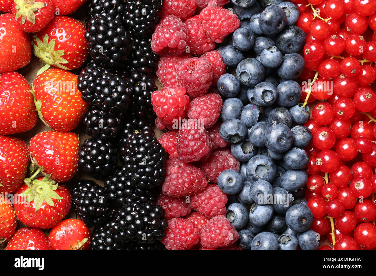 Berry fruits like strawberries, blueberries, red currants, raspberries and  blackberries in a row Stock Photo - Alamy