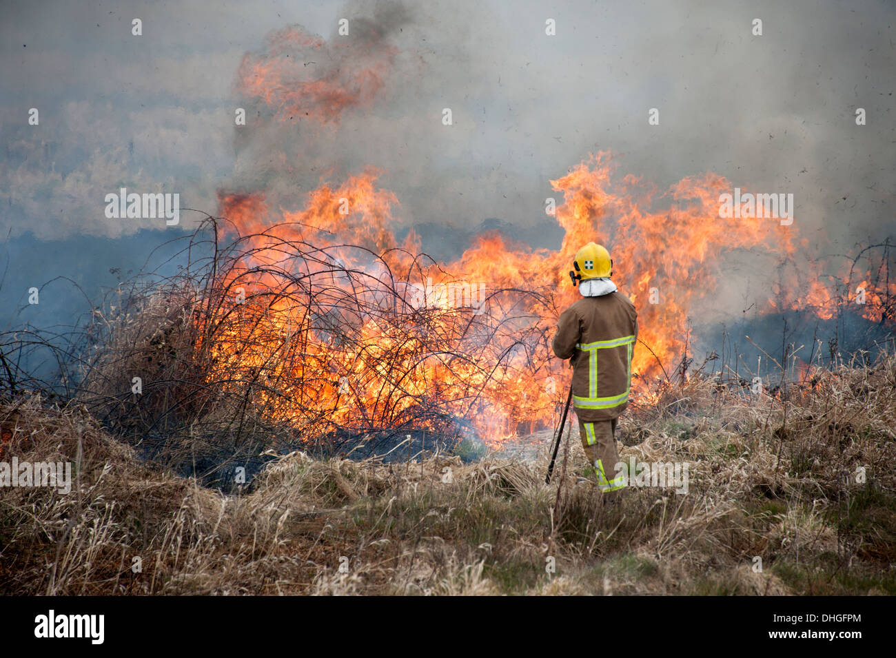 Firefighter using Beaters on Grass Fire Heathland Stock Photo