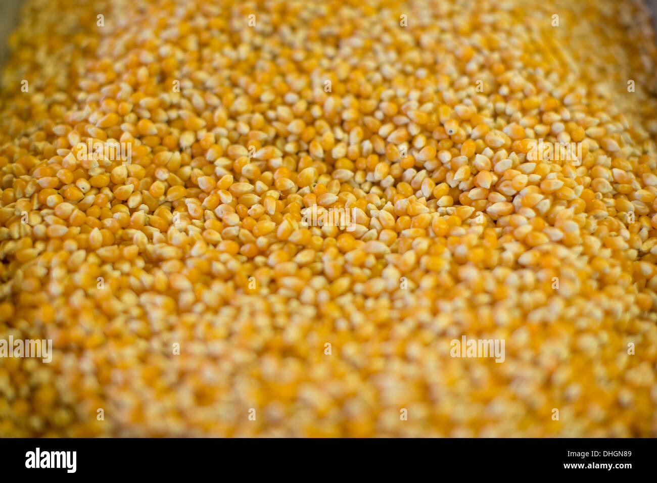Popping corn in a large metal container at a road side store in Texas. Stock Photo
