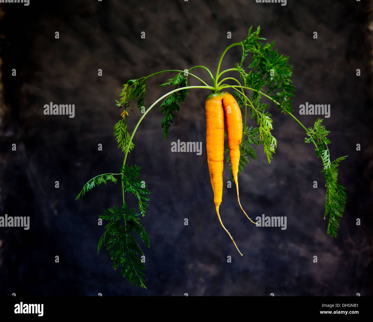 Carrot top hires stock photography and images Alamy