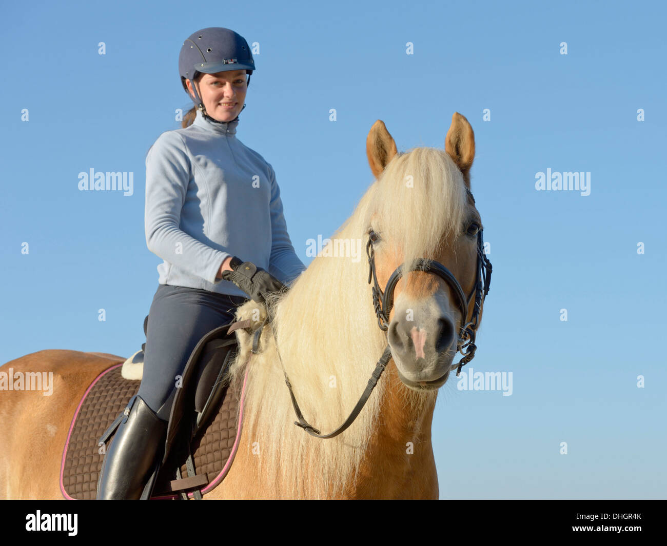 Young rider on back of her Haflinger horse Stock Photo
