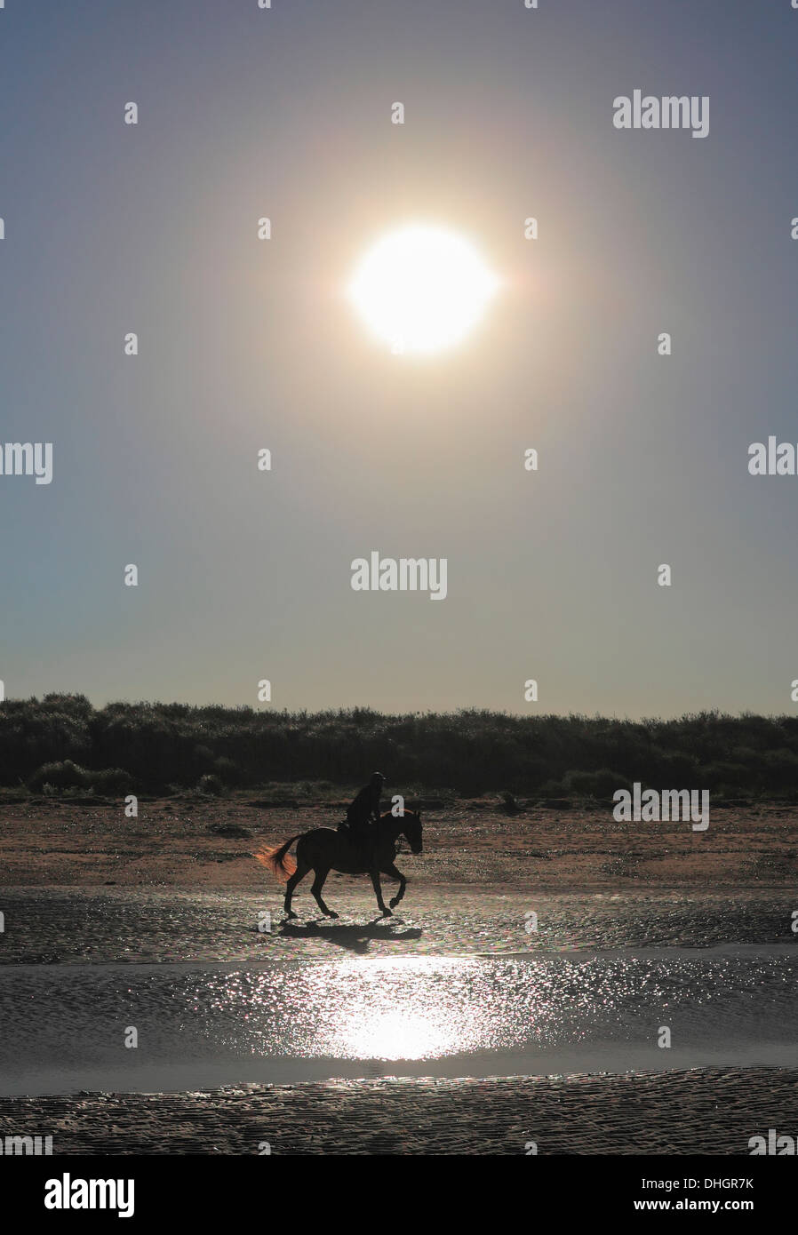 Horse and rider on the beach under a big Winter sun. Stock Photo