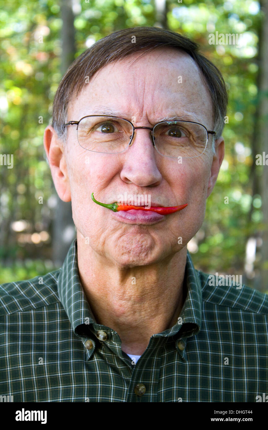 Old man holds a red pepper from the garden in his lips with a silly look on his face. Stock Photo