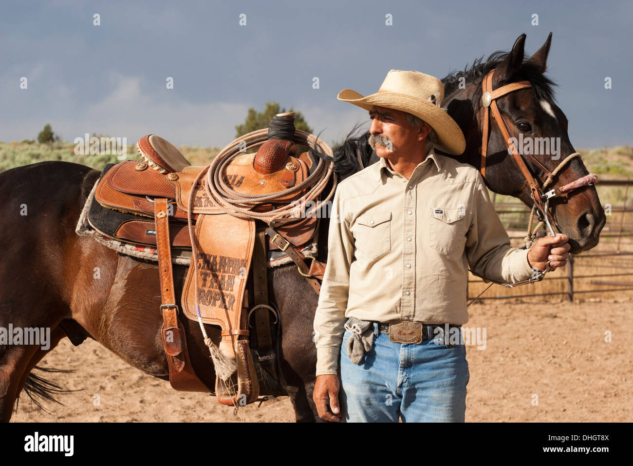 Champion team roper with his horse outdoors on a New Mexico ranch Stock ...