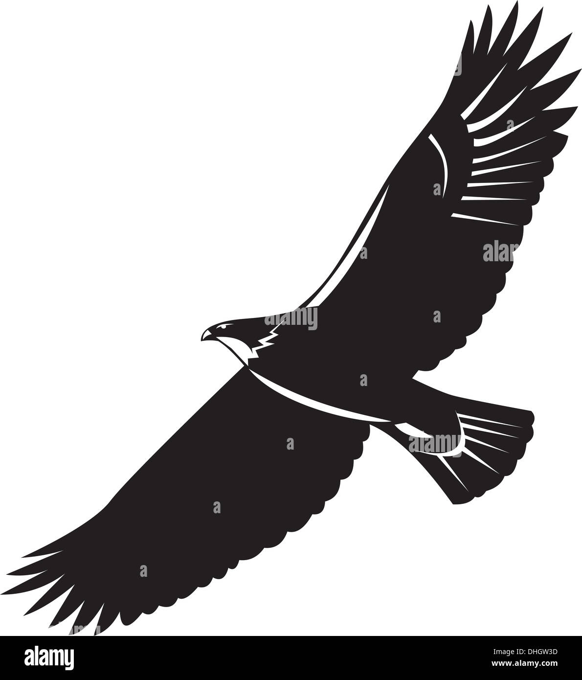 Illustration of a bald eagle flying soaring on isolated background done ...