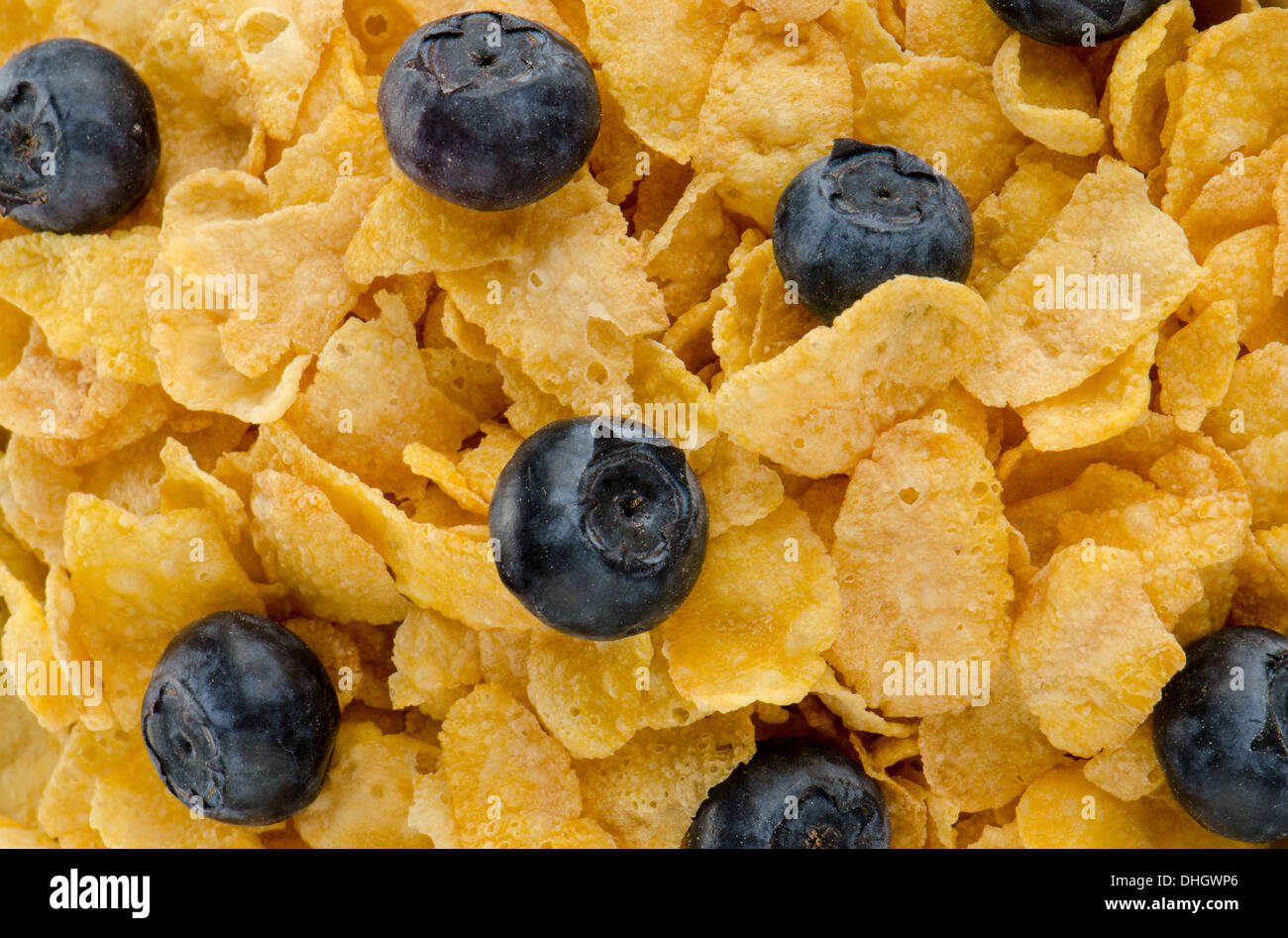Corn cereal and blueberries for healthy breakfast Stock Photo Alamy