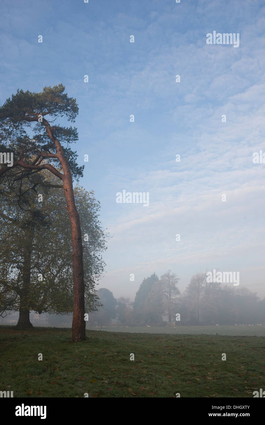 Misty morning rural scene Stock Photo - Alamy