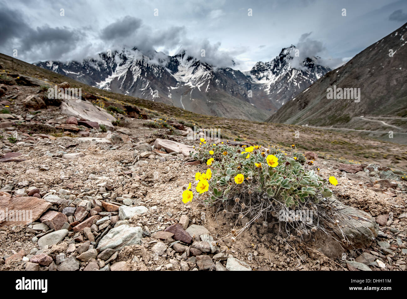 himalayas mountain in summer time Stock Photo