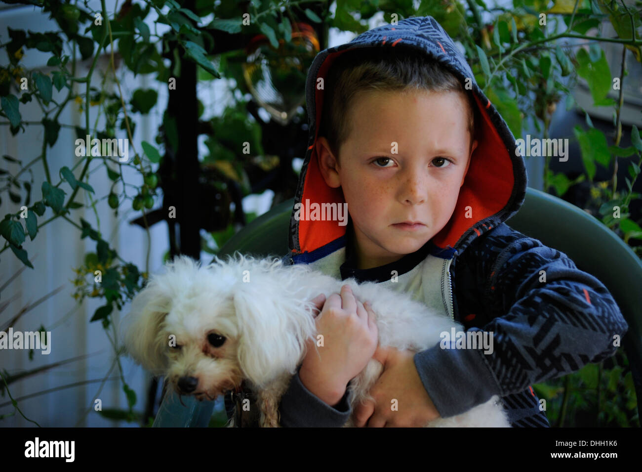 Little sad boy holding pet dog Stock Photo