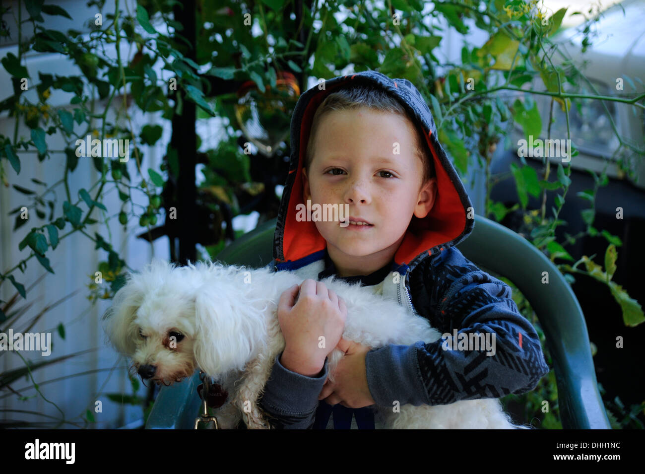Little boy holding pet dog Stock Photo