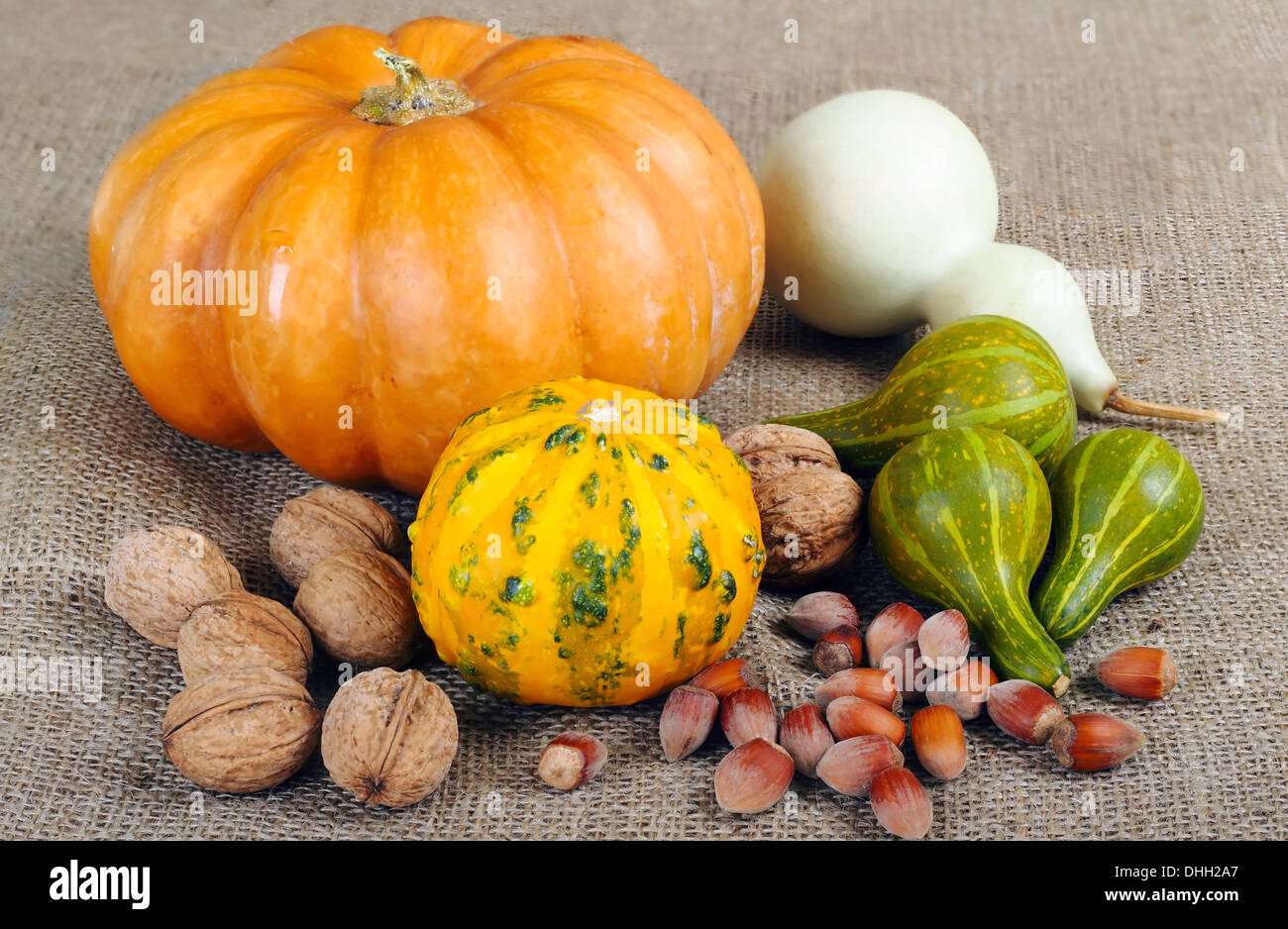 Ornamental pumpkins hi-res stock photography and images - Alamy