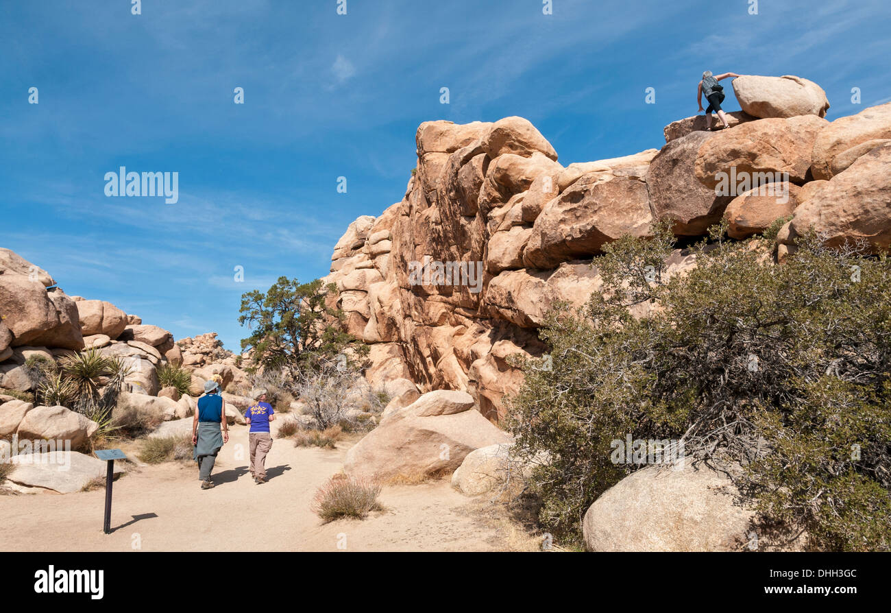 California, Joshua Tree National Park, Hidden Valley Trail, hikers, rock climber Stock Photo