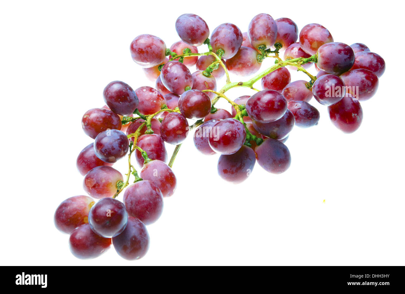 Cluster of grapes Stock Photo Alamy