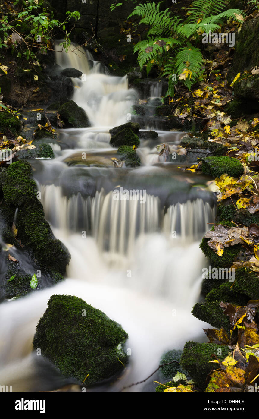 Waterfall in woods hi-res stock photography and images - Alamy