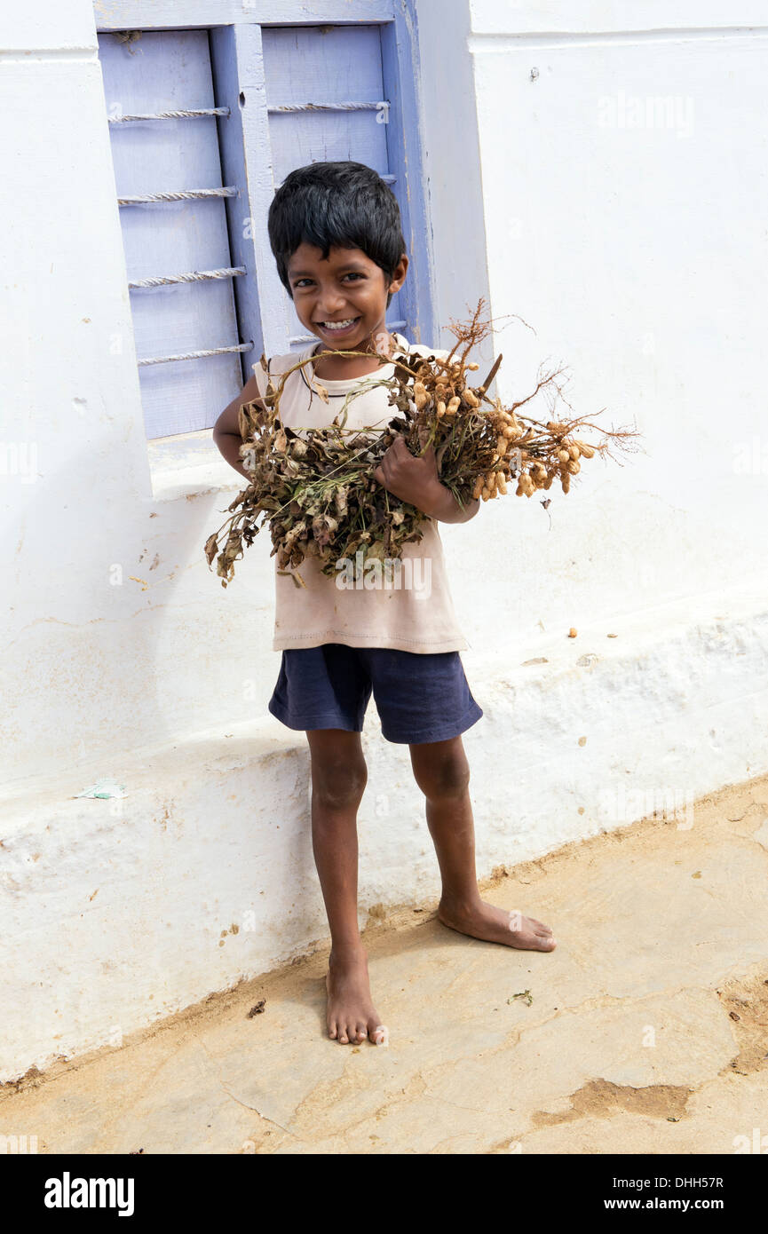 Young Indian boy holding harvested peanut plants. Andhra Pradesh, India Stock Photo