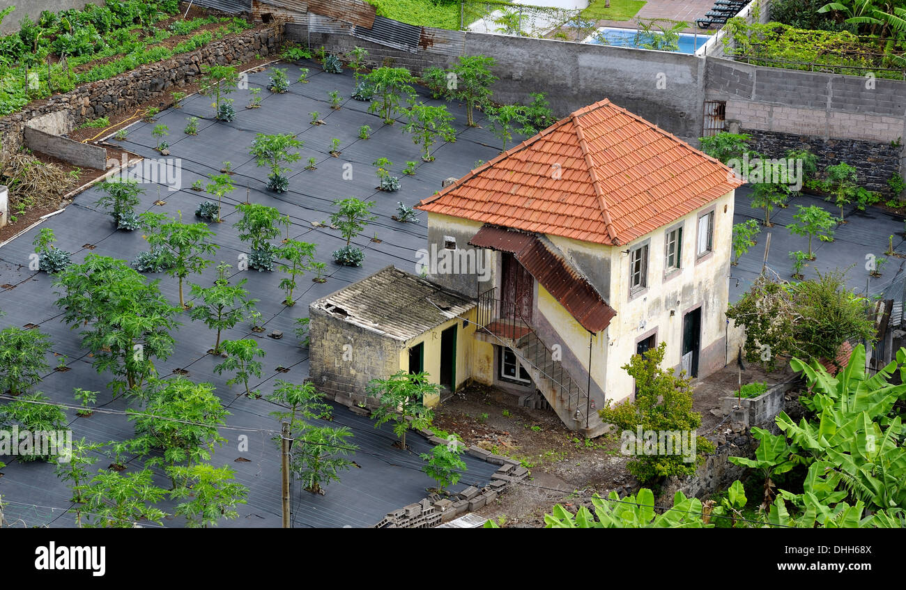 Madeira Portugal. A run down property with an irrigation system laid out in the garden Stock Photo