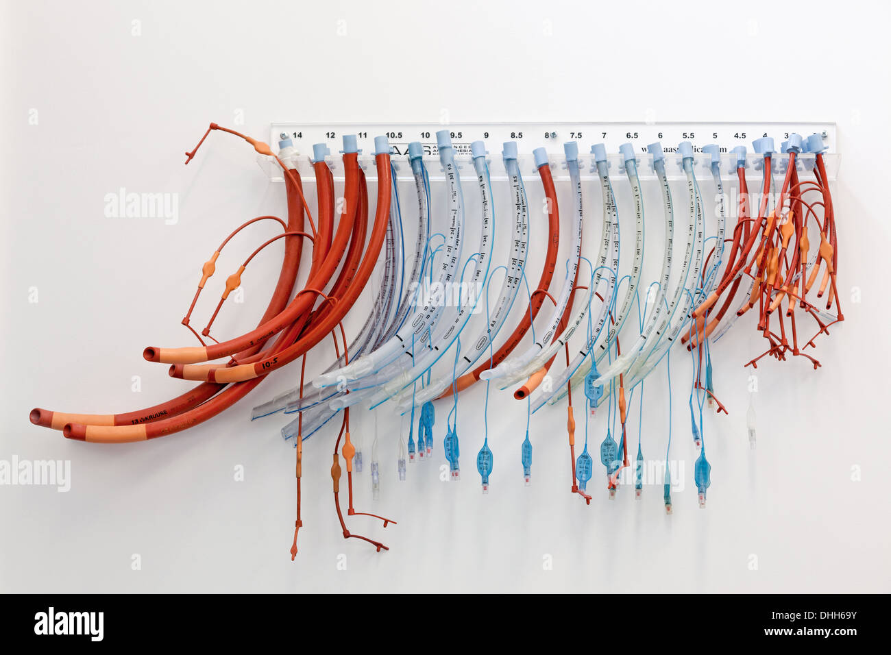 Rack of anaesthetic tubes in a vets surgery. Stock Photo
