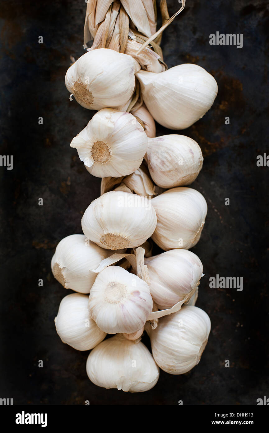Cloves of fresh garlic Stock Photo