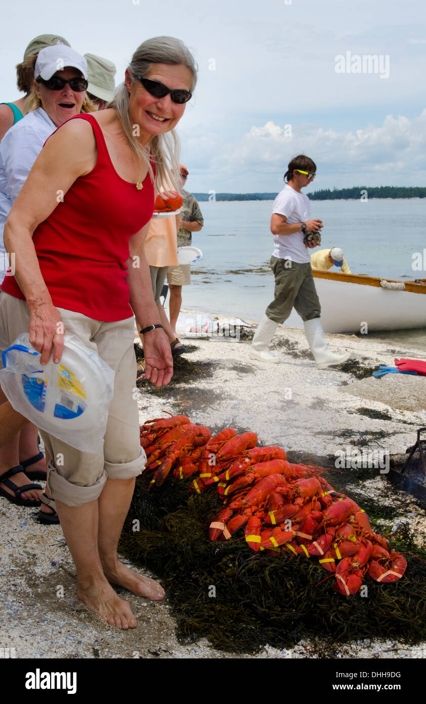Lobster bake on beach near Rockland Maine with lobsters and tourists