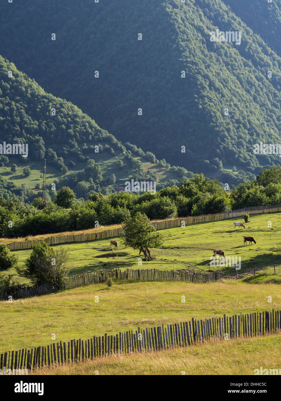 Svaneti region in Georgia, Caucasus, close to Mestia. Stock Photo