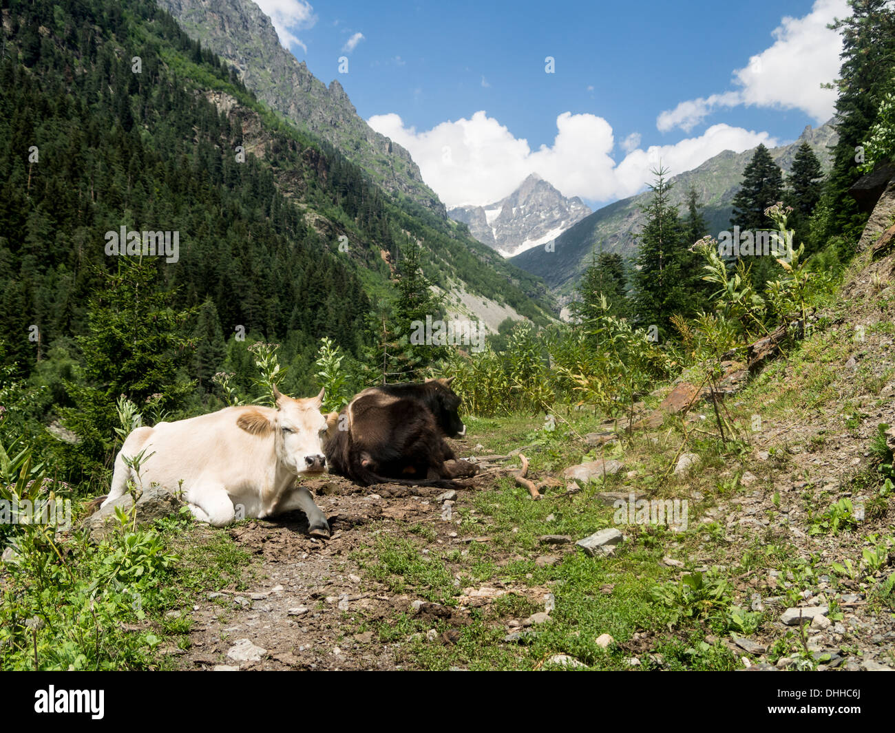 Svaneti region in Georgia, Caucasus. Stock Photo
