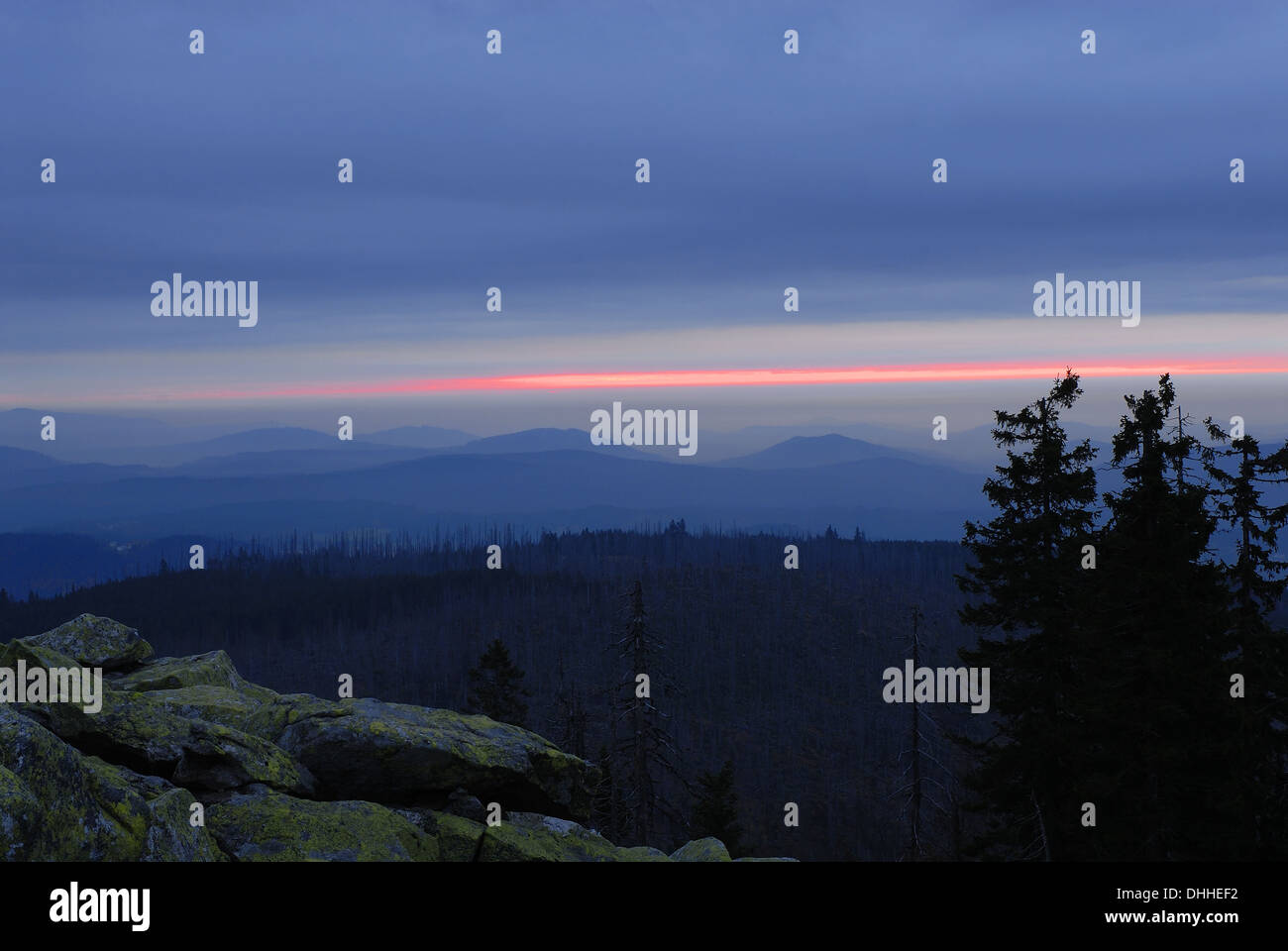 Bavarian forest Stock Photo