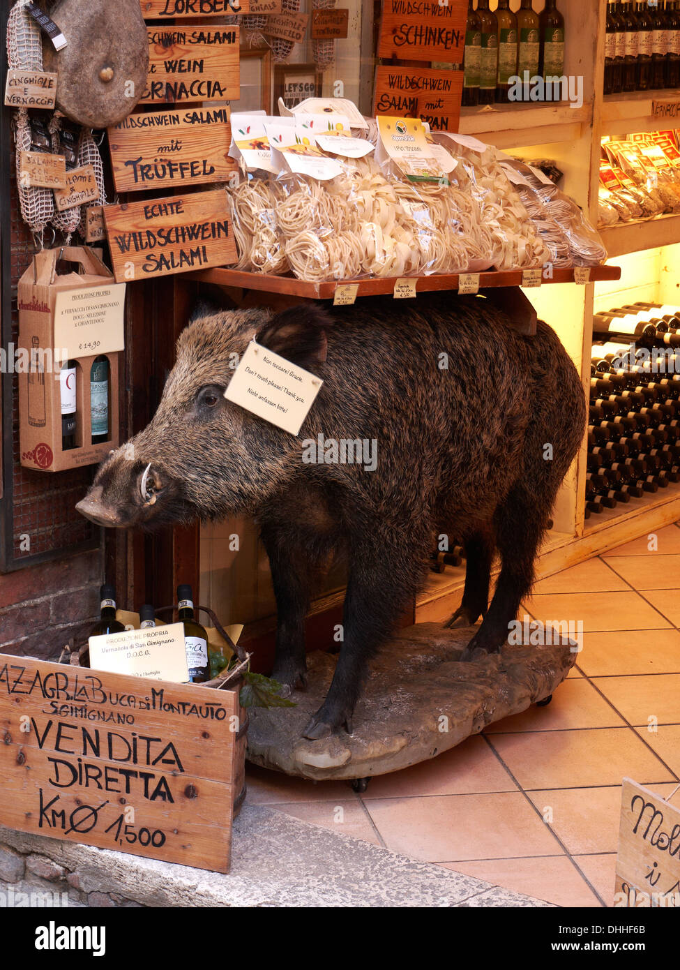 A Shop selling local specialities in San GimignanoTuscany Italy including wines cheeses and local meats. Decorated with a stuffed wild boar Stock Photo