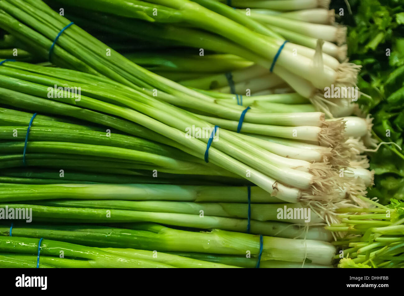 onion with chives Stock Photo Alamy