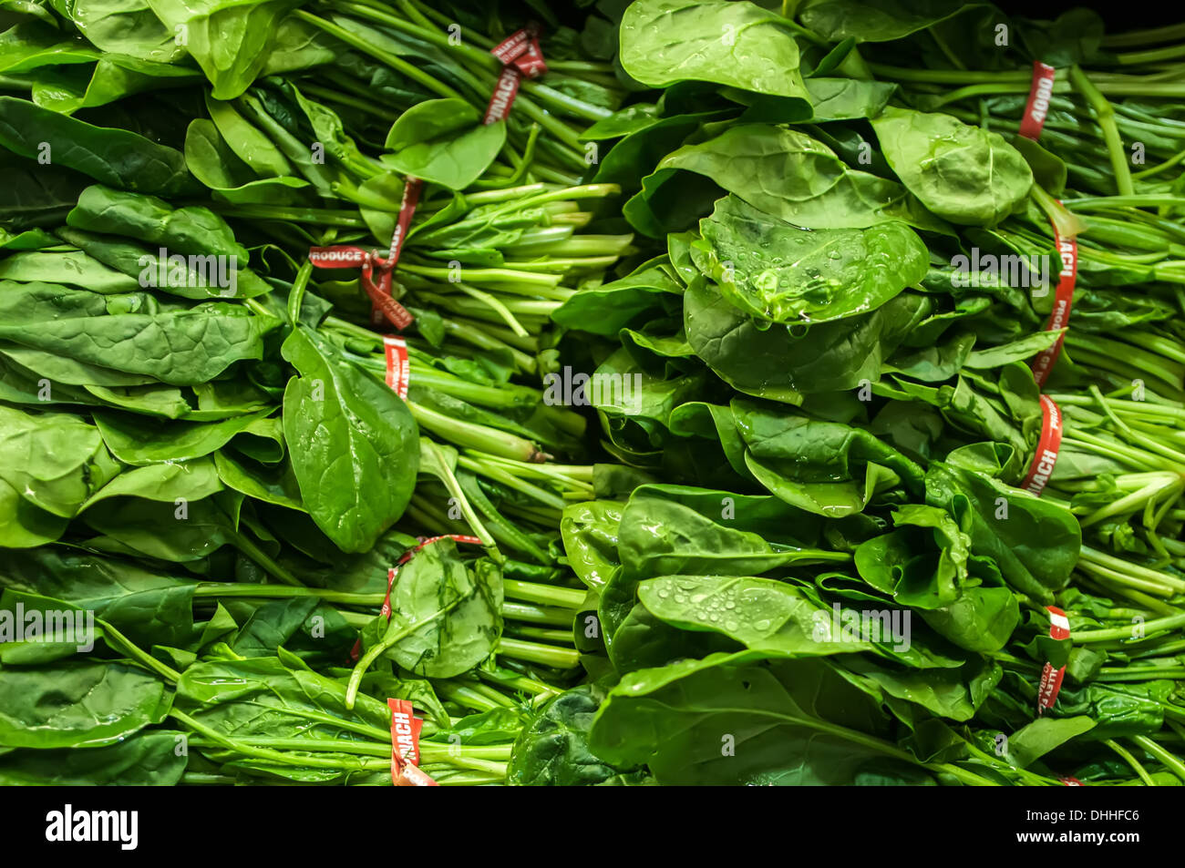 fresh green leaves spinach Stock Photo