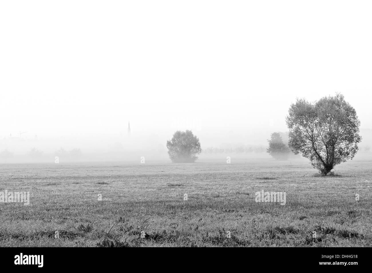 Landscape with fog black and white Stock Photo - Alamy