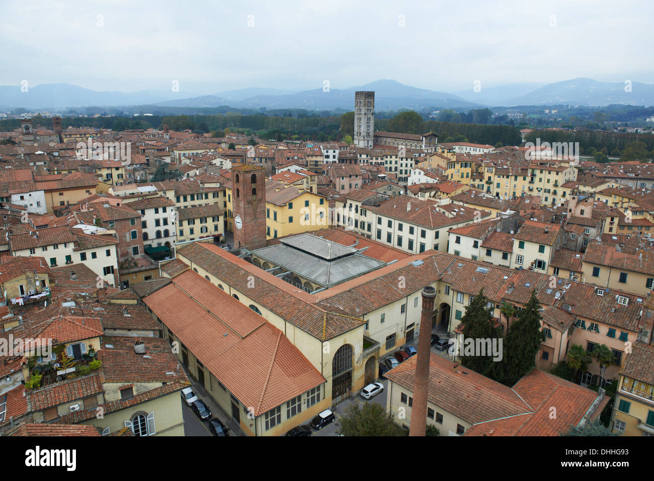 An Elevated view from Torre Guinigi Via Sant'Andrea in the medieval city of Lucca Stock Photo