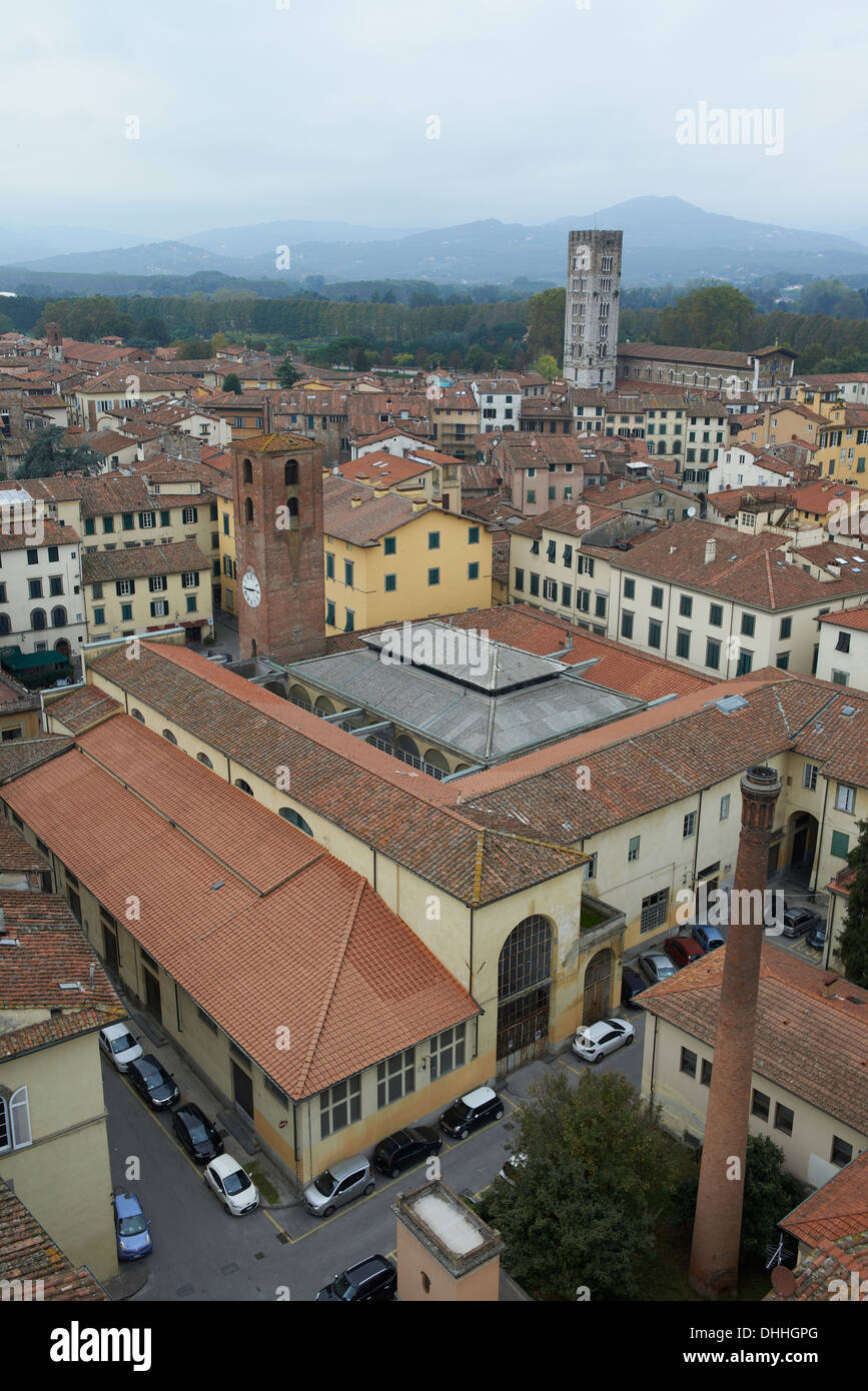 An Elevated view from Torre Guinigi Via Sant'Andrea in the medieval city of Lucca Stock Photo