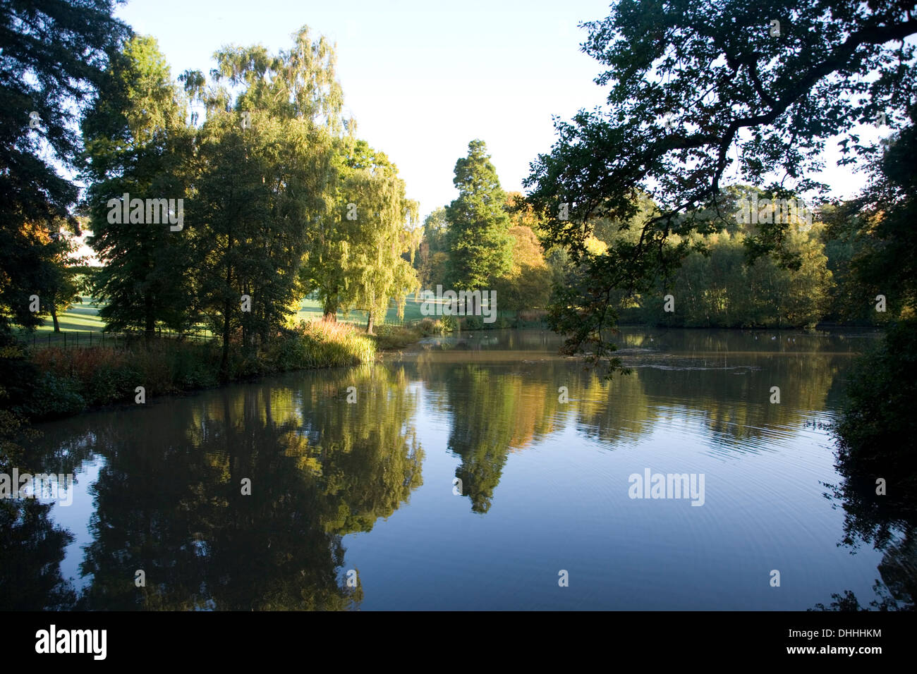 Hemingbrough Pond Autumn trees pond landscape scene on Hampstead Heath Stock Photo - Alamy