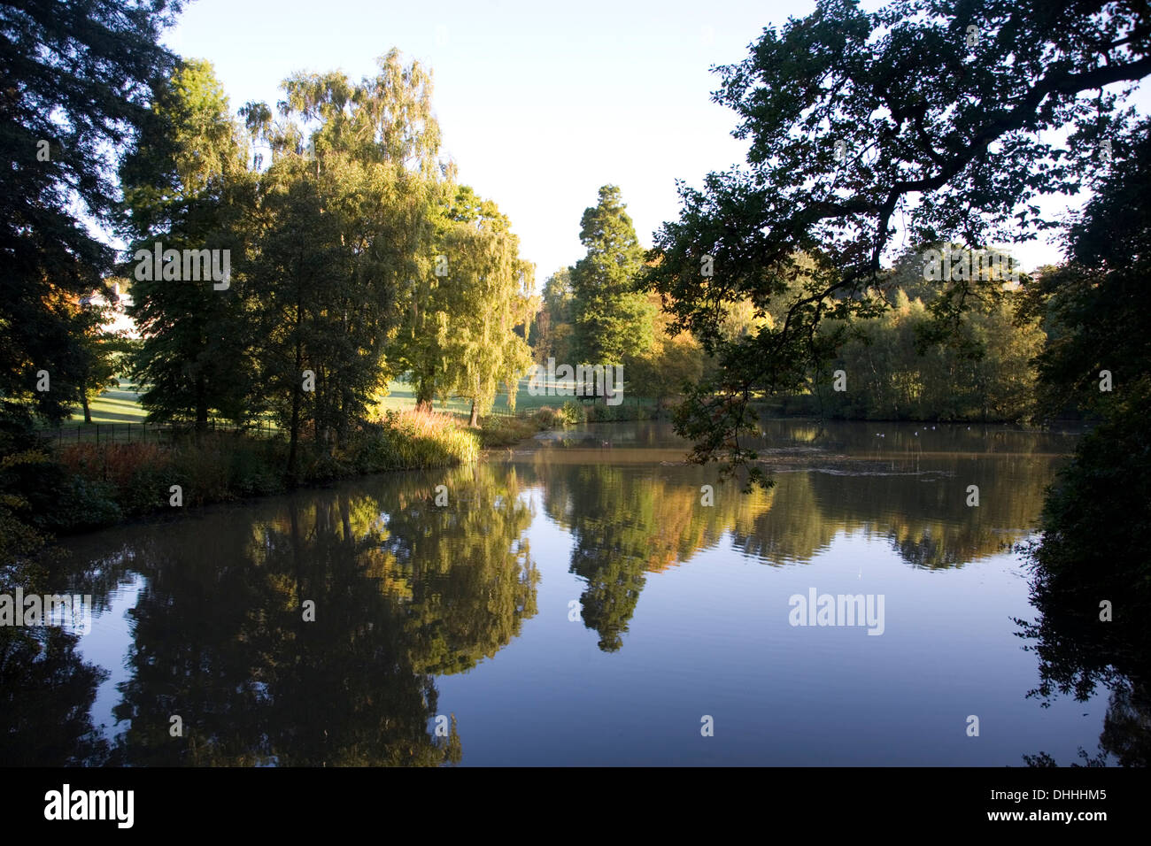 Hemingbrough Pond Autumn trees pond landscape scene on Hampstead Heath Stock Photo - Alamy