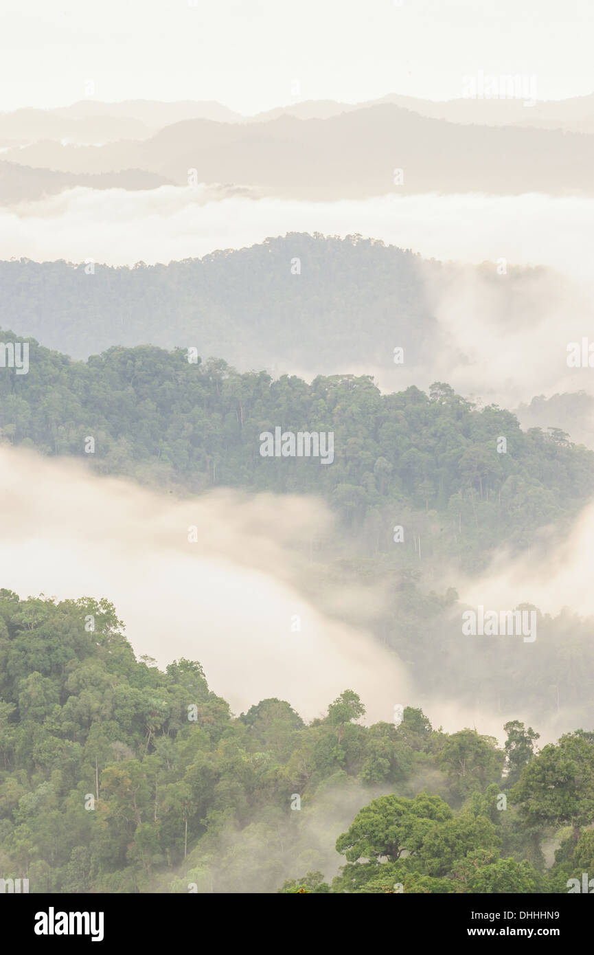 Beautiful tropical mountain mist in rain forest Thailand. Stock Photo