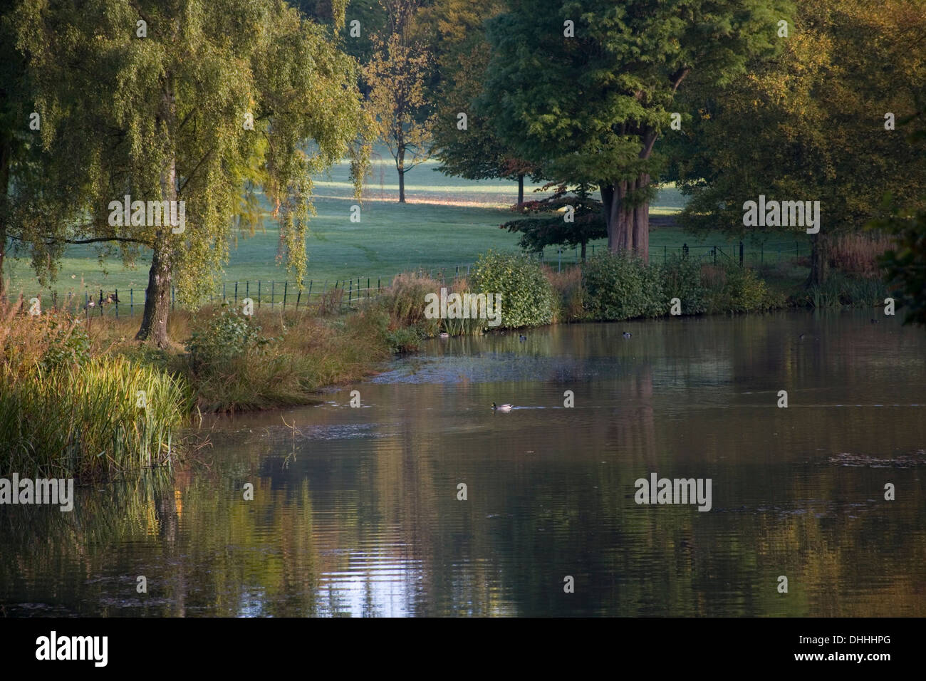 Hemingbrough Pond Pond landscape scene in Autumn on Hampstead Heath Stock Photo - Alamy
