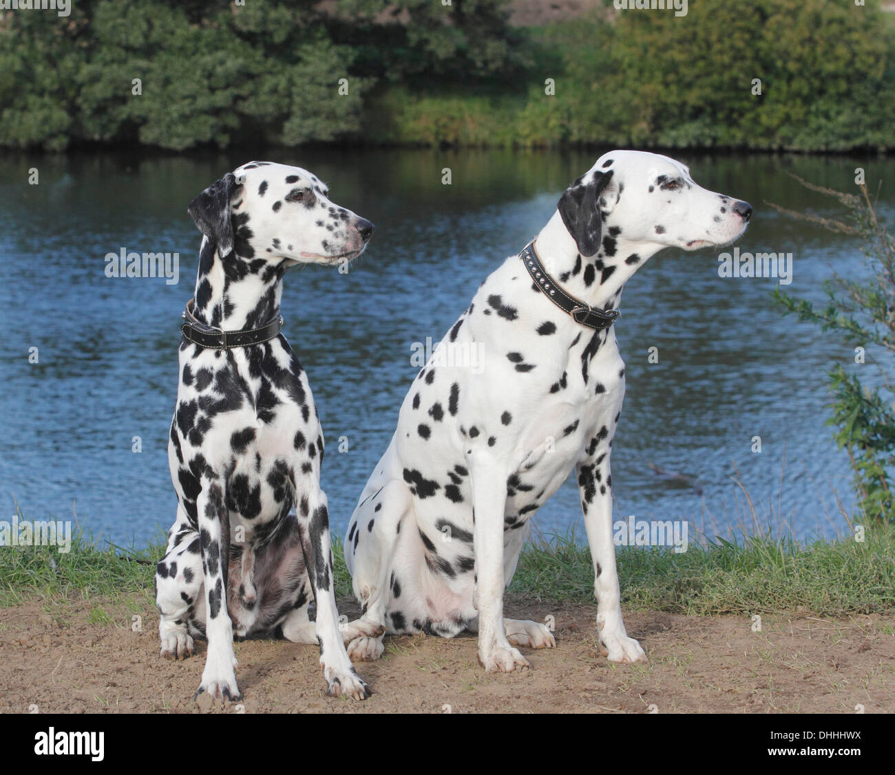 VK-dagi qizlarning fotosuratlari