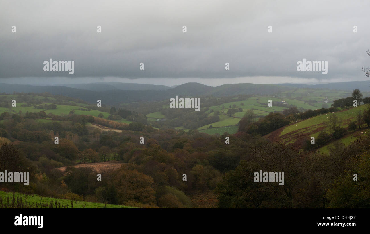 Autumn landscape on an dank overcast day in Carmarthenshire Wales UK  KATHY DEWITT Stock Photo