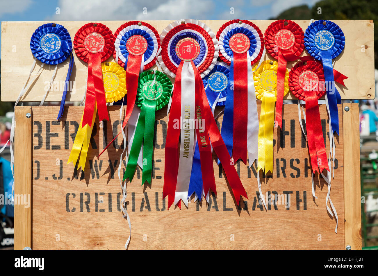 WINNER'S ROSETTES  DISPLAYED BY WINNER AT AGRICULTURAL SHOW IN MONMOUTH WAESUK Stock Photo