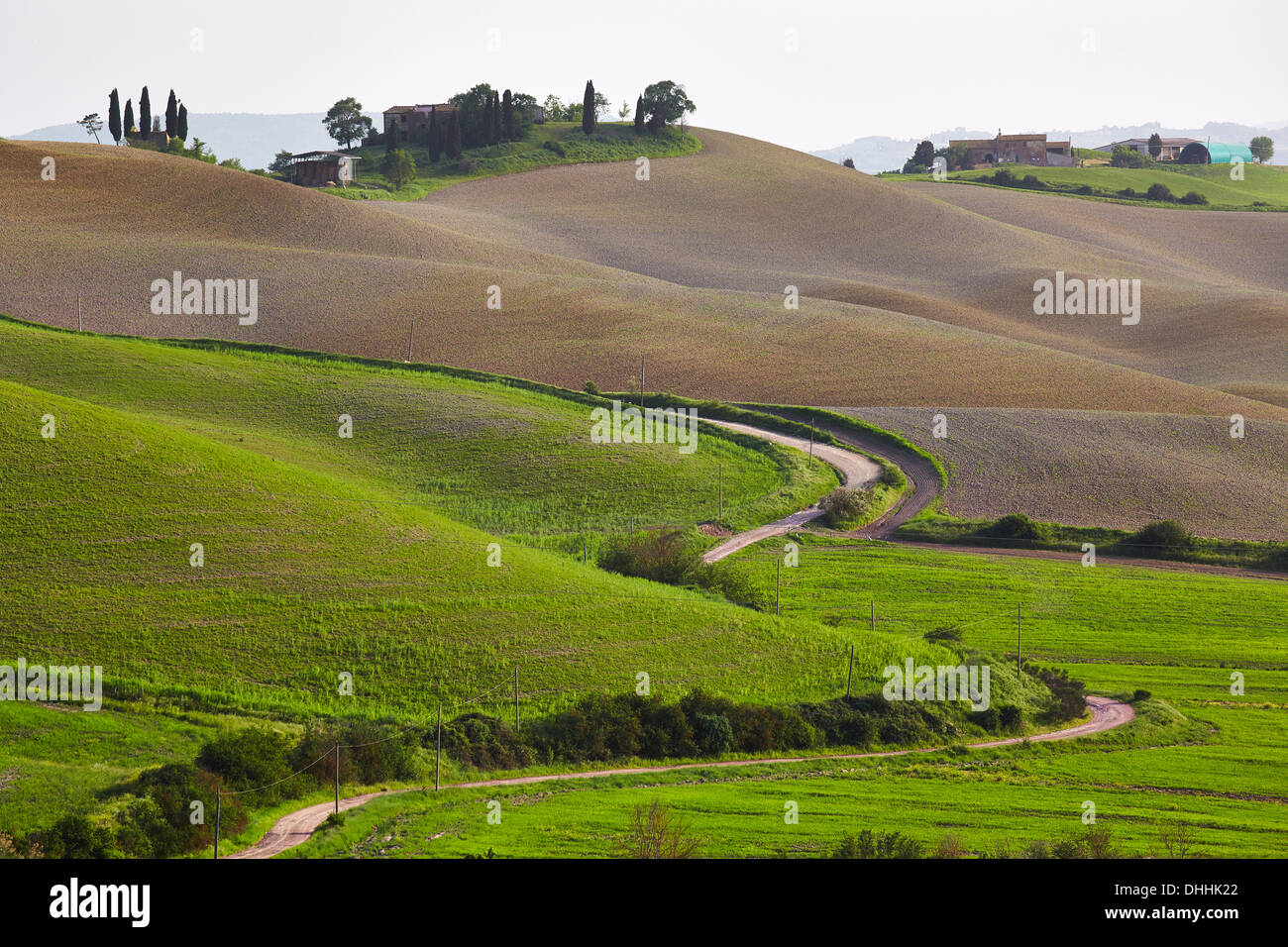 Hilly landscape of the Crete Senesi region, Taverne d'Arbia, Province of Siena, Tuscany, Italy Stock Photo