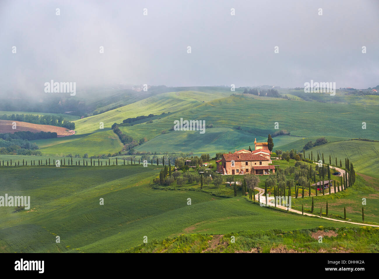 Hilly landscape around Podere Baccoleno, Chiusure, Province of Siena, Tuscany, Italy Stock Photo