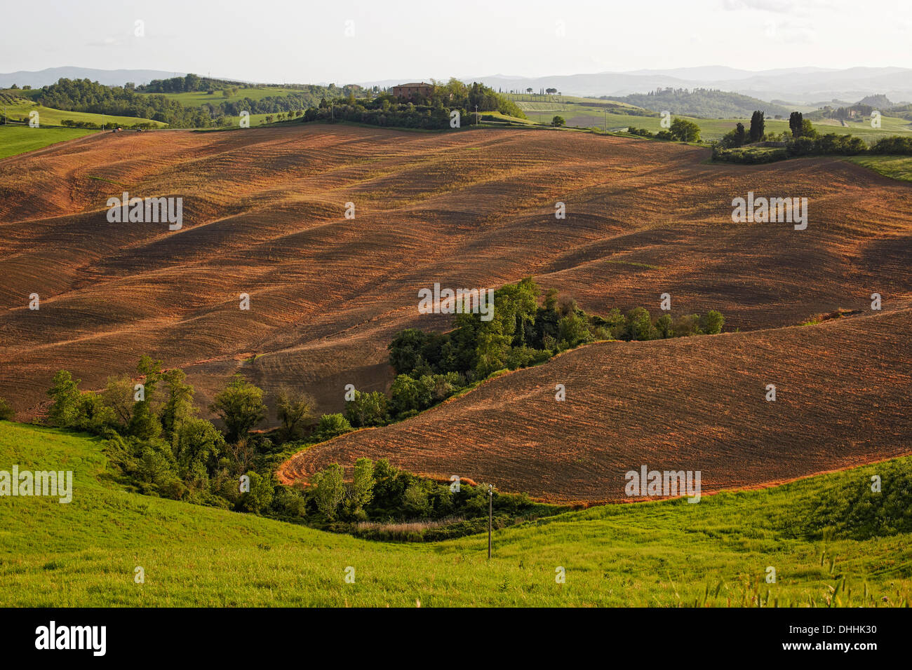 Hilly landscape of the Crete Senesi region, Pievina, Asciano, Province of Siena, Tuscany, Italy Stock Photo
