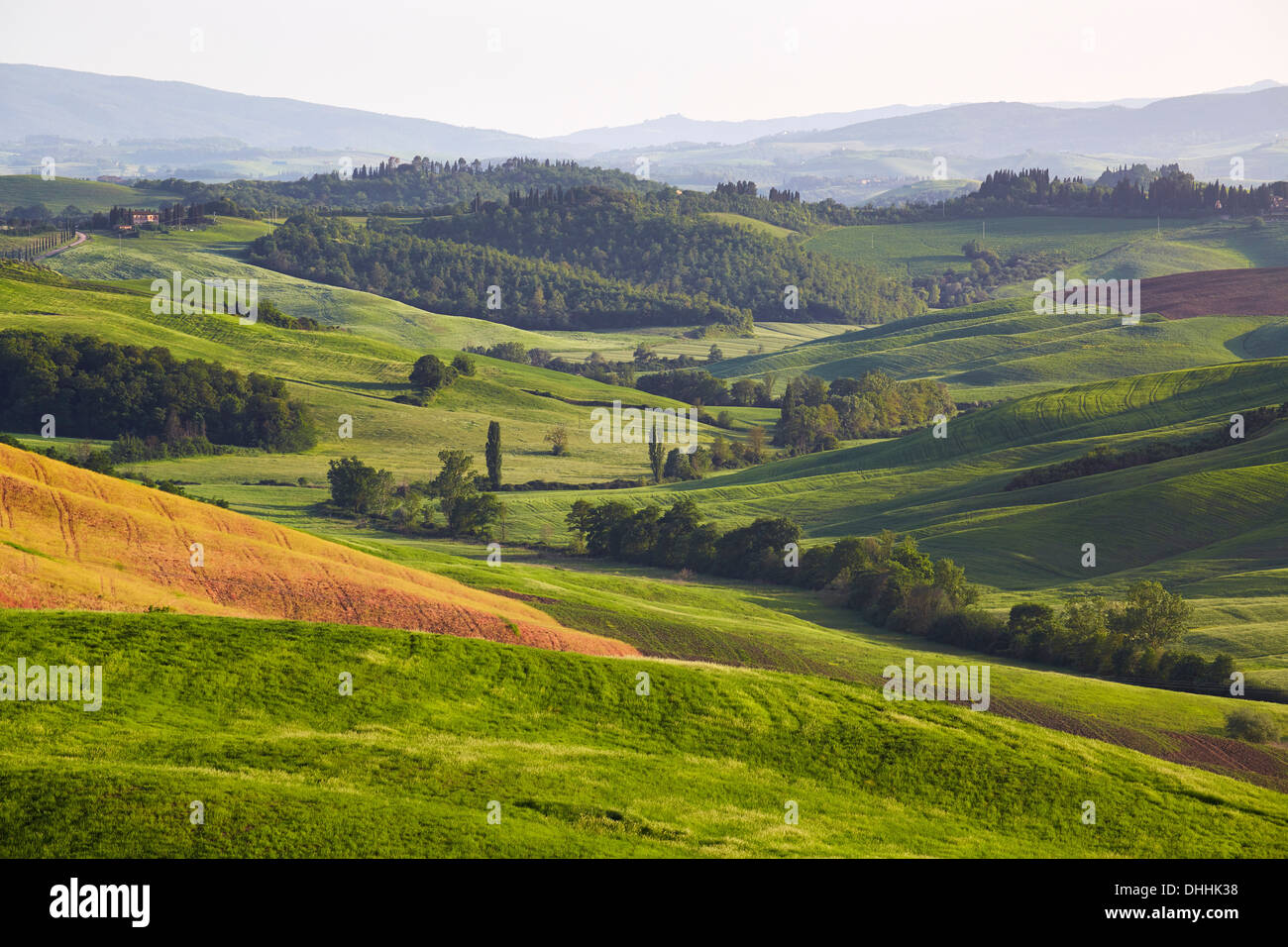 Hilly landscape of the Crete Senesi region, Vescona, Asciano, Province of Siena, Tuscany, Italy Stock Photo