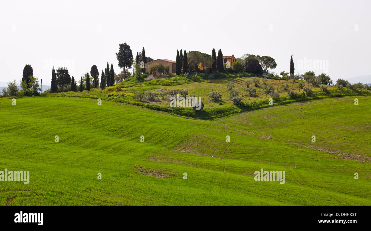Estate with a garden and a surrounding field, Chiusure, Province of Siena, Tuscany, Italy Stock Photo