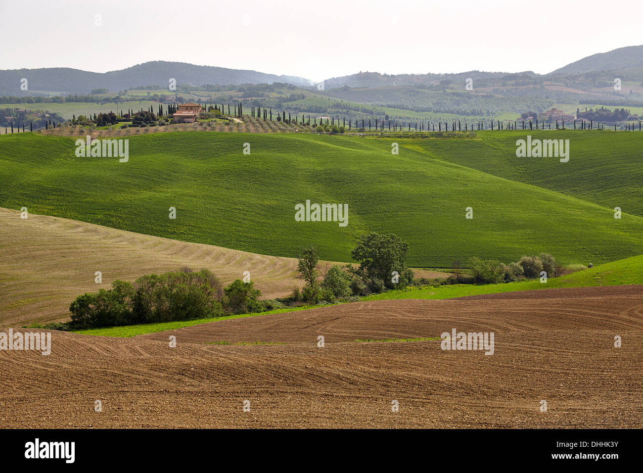 Hilly landscape of the Crete Senesi region, Chiusure, Province of Siena, Tuscany, Italy Stock Photo