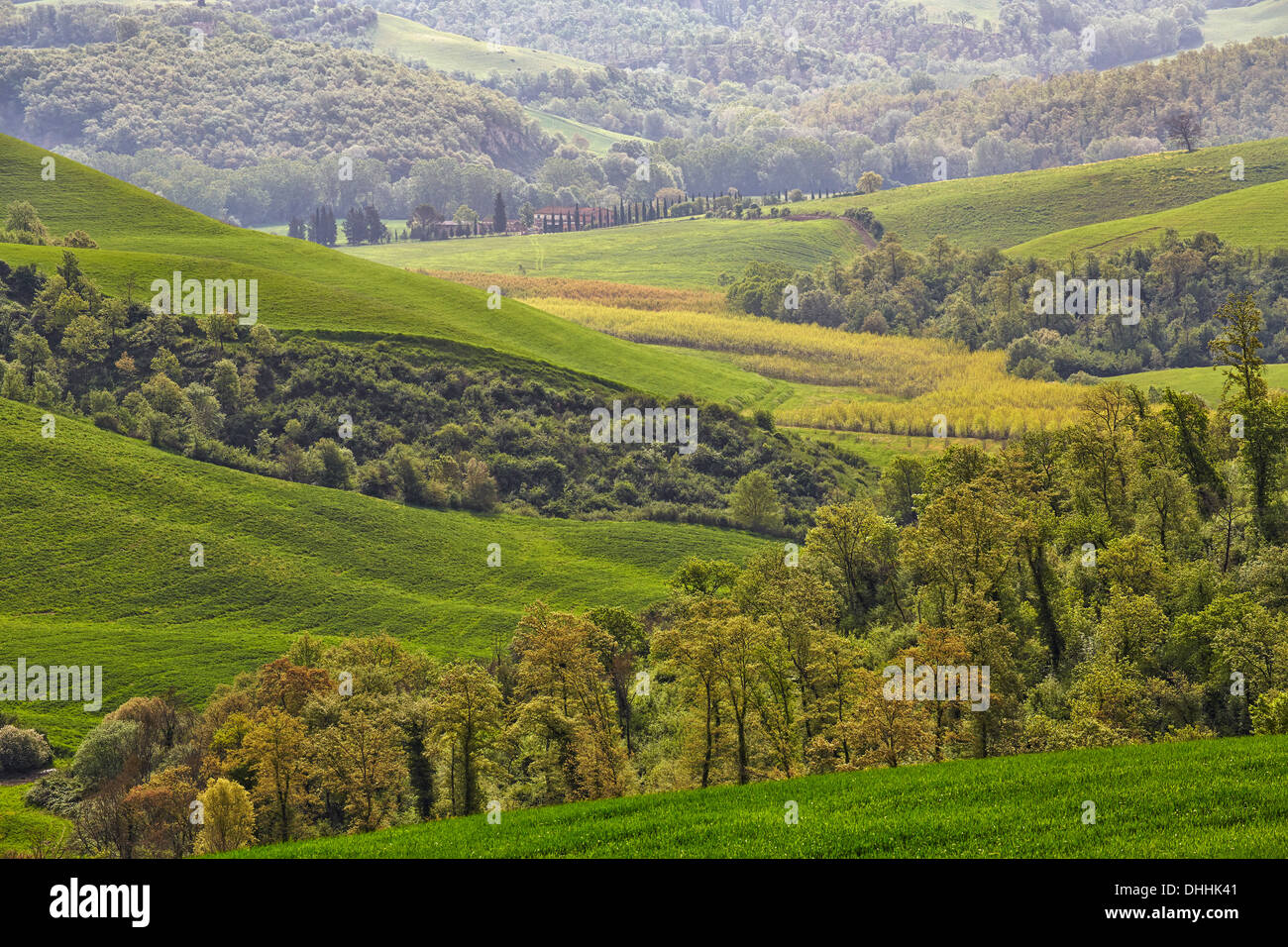 Hilly landscape of the Crete Senesi region, Rosennano, Province of Siena, Tuscany, Italy Stock Photo