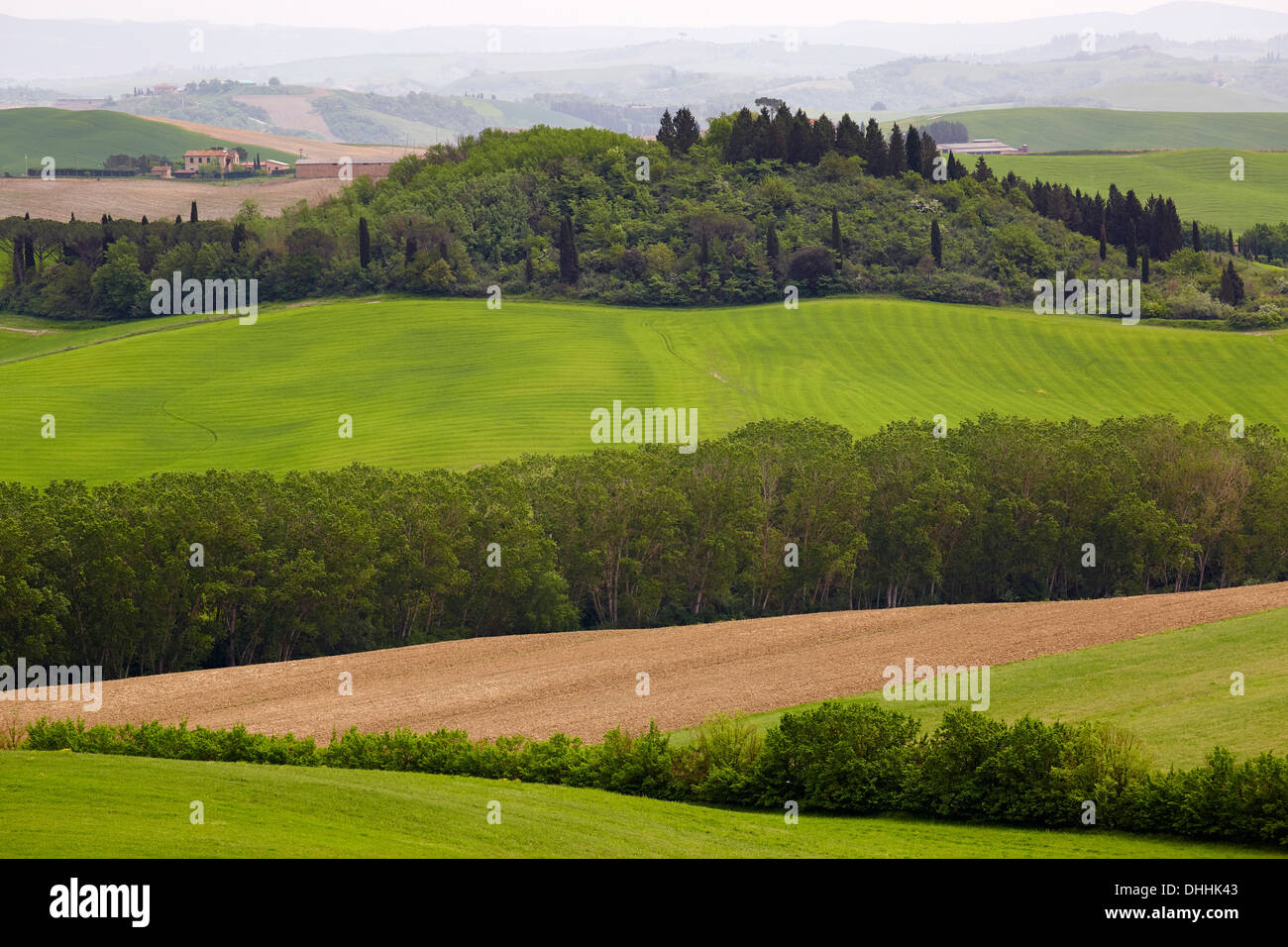 Hilly landscape of the Crete Senesi region, Lucignano d’Arbia, Monteroni d’Arbia, Province of Siena, Tuscany, Italy Stock Photo