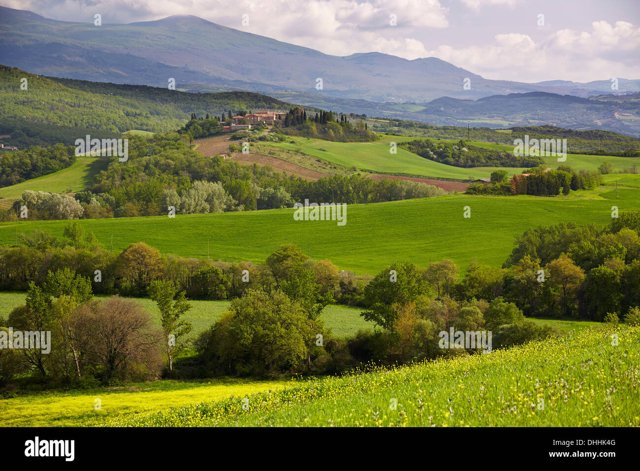 Hilly landscape of the Crete Senesi region, Torrenieri, Montalcino, Province of Siena, Tuscany, Italy Stock Photo